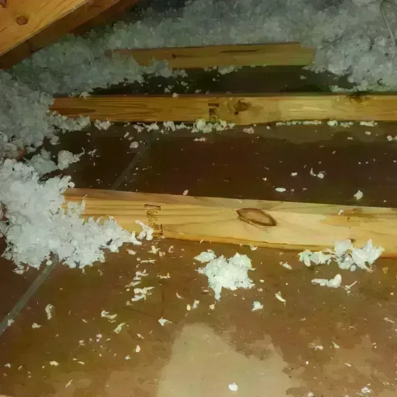 Attic Water Damage in Fulshear, TX